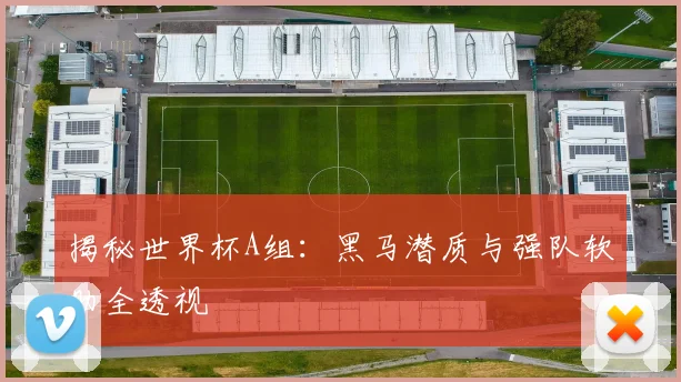 揭秘世界杯A组：黑马潜质与强队软肋全透视