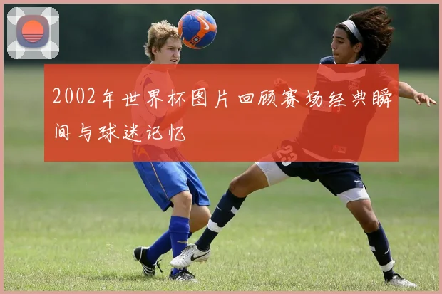 2002年世界杯图片回顾赛场经典瞬间与球迷记忆