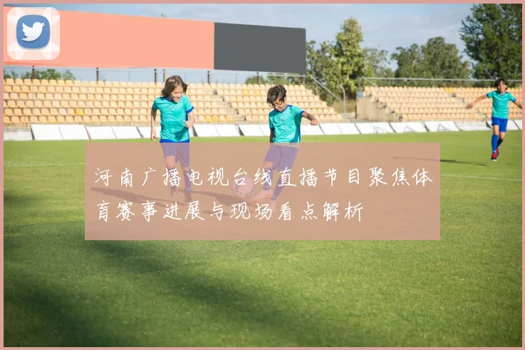 河南广播电视台线直播节目聚焦体育赛事进展与现场看点解析