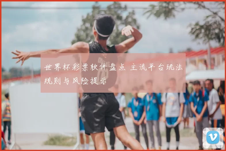 世界杯彩票软件盘点 主流平台玩法规则与风险提示