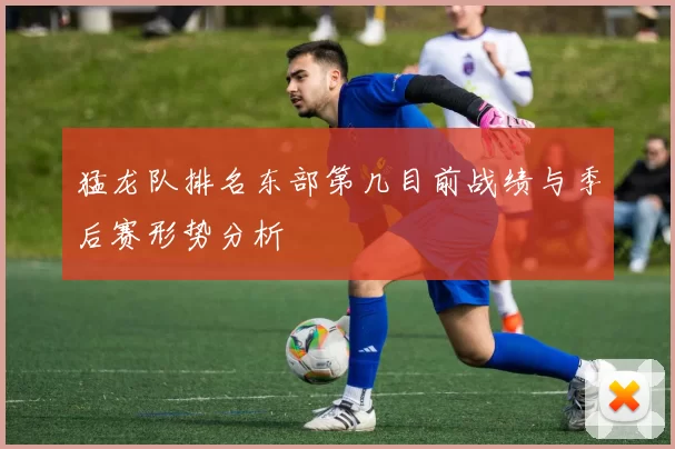 猛龙队排名东部第几目前战绩与季后赛形势分析