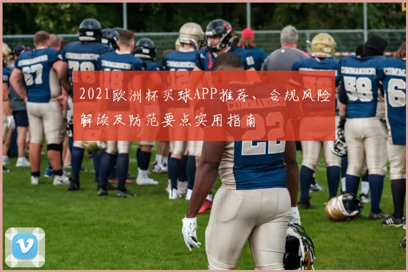 2021欧洲杯买球APP推荐、合规风险解读及防范要点实用指南